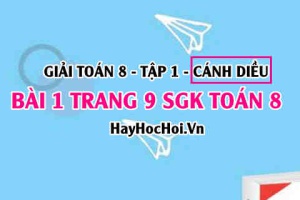 Giải bài 1 trang 9 Toán 8 Tập 1 SGK Cánh Diều